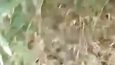 Village girl outdoor MMS fucking video with lover